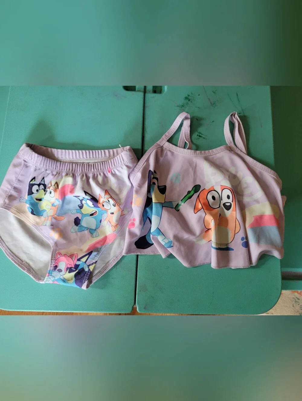Bluey Bathing Suit, Size 5T
